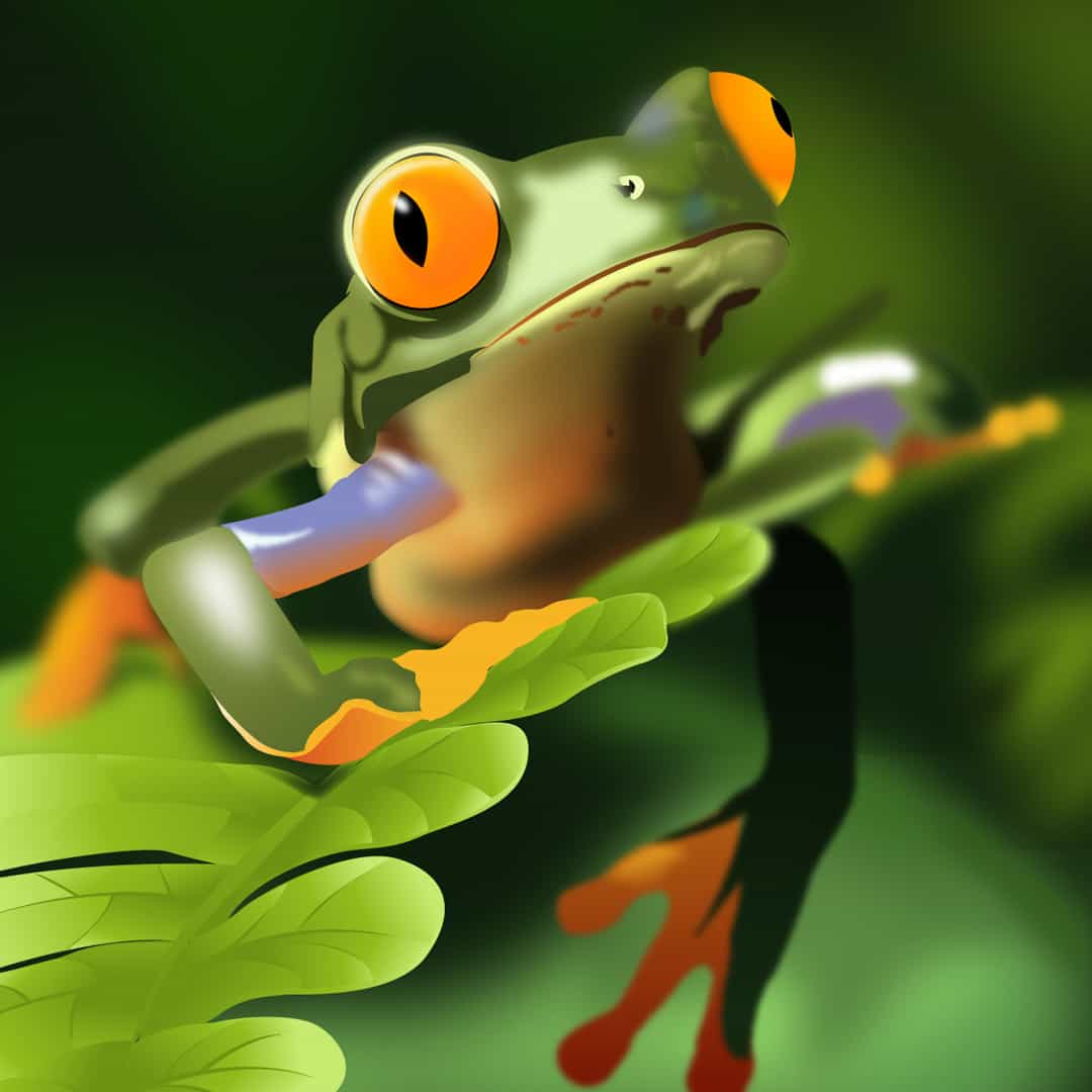 Illustration