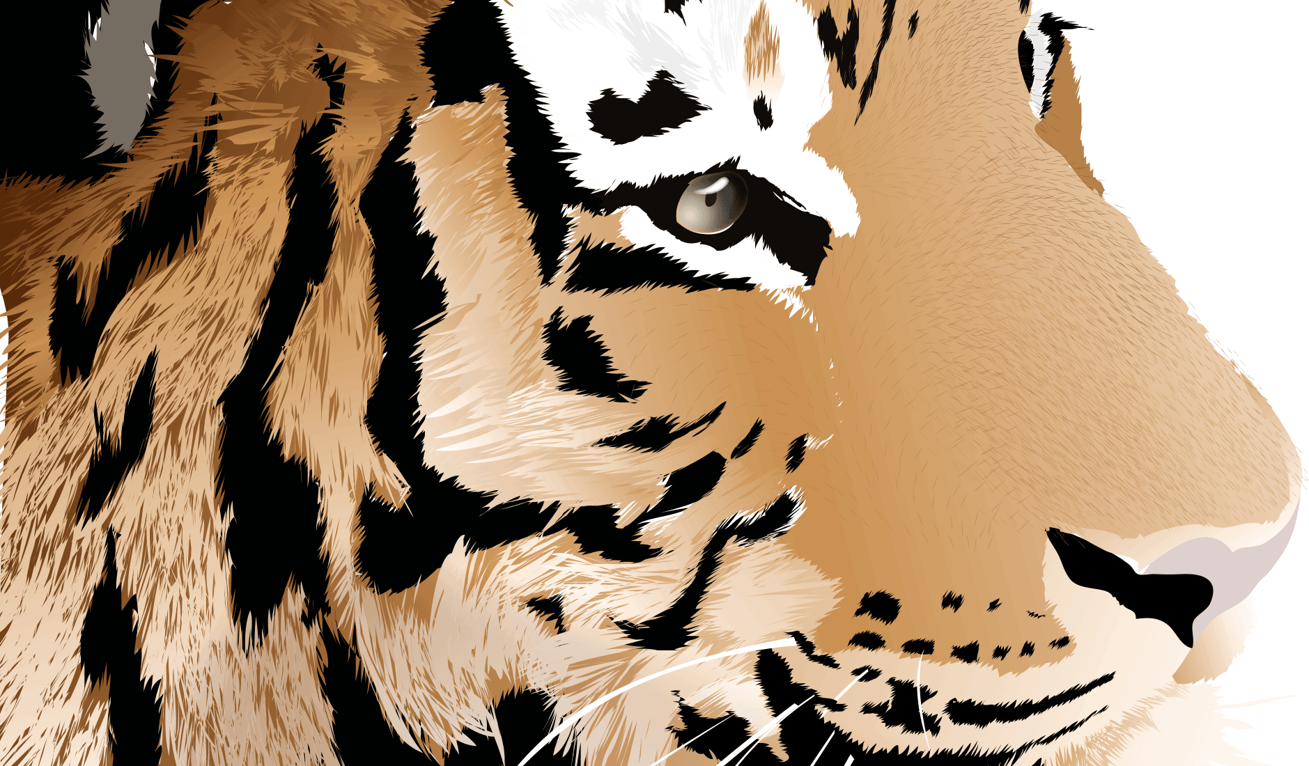 Vector Artwork